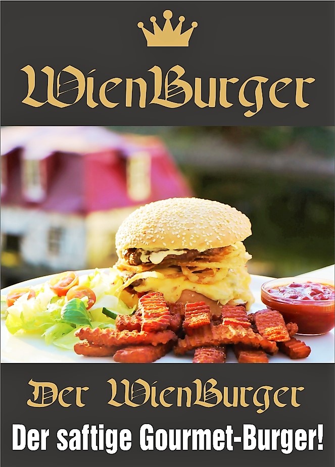 2017-01-18-wienburger1