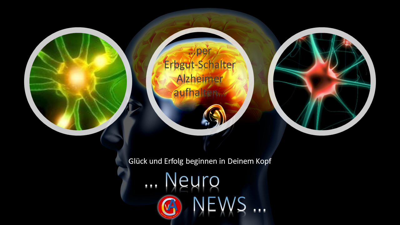 per Erbgut-Schalter Alzheimer aufhalten 7. Bild Neuronews