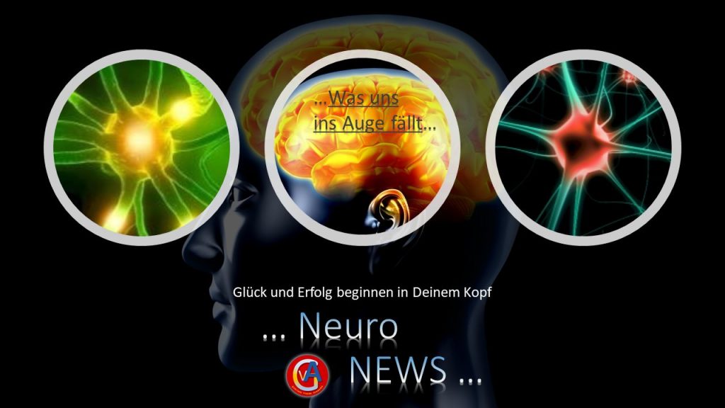 Neuro News - Was uns ins Auge fällt