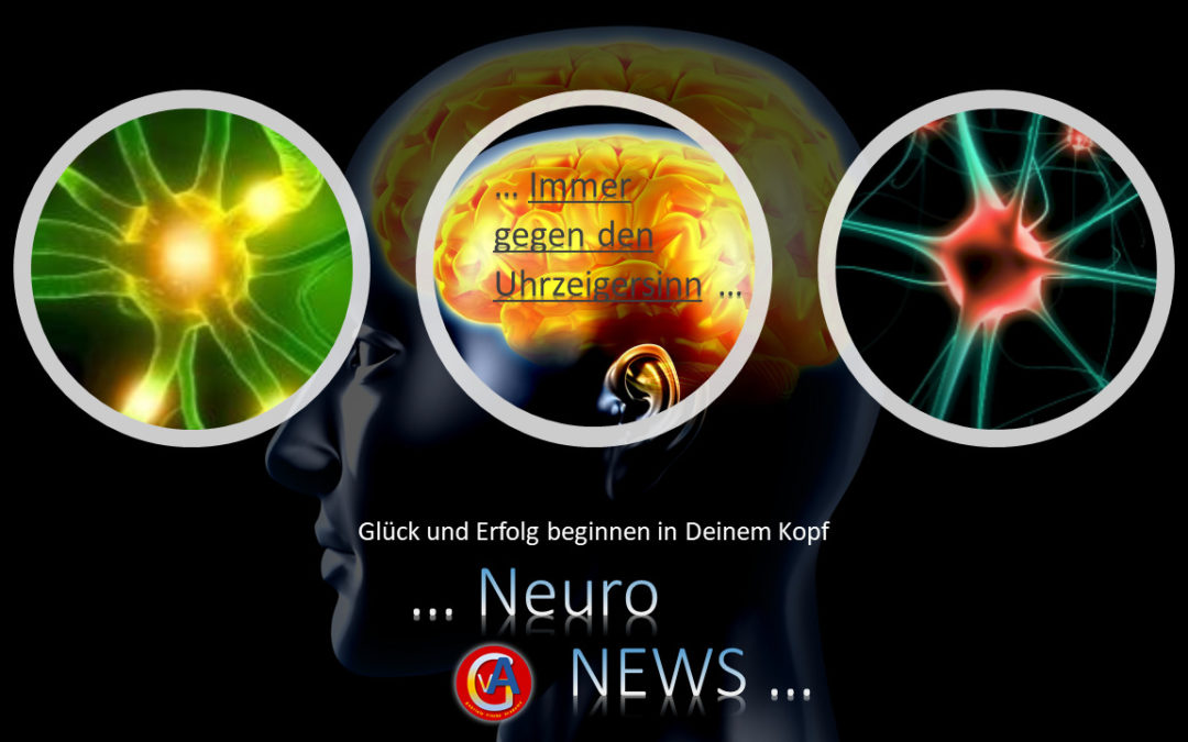 neuroNews - Immer gegen den Uhrzeigersinn