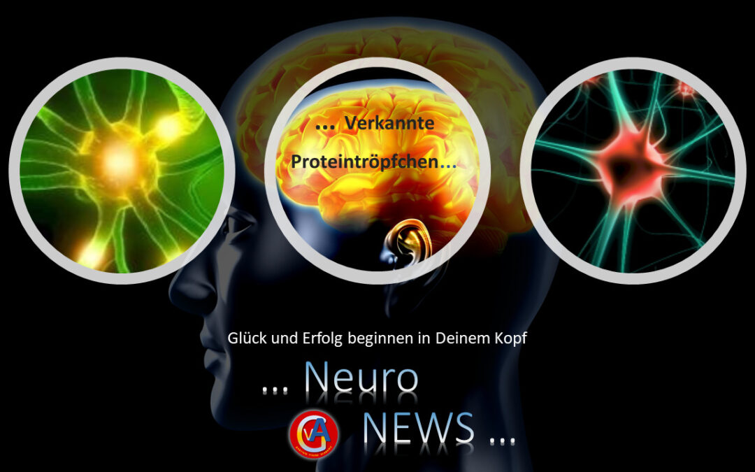 NeuroNews - Verkannte Proteintröpfchen